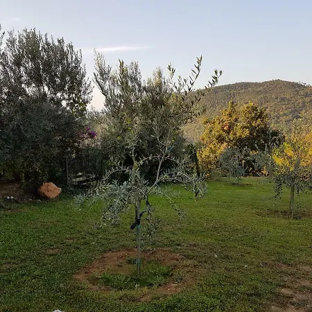 Dom wakacyjny Fior Di Lavanda *