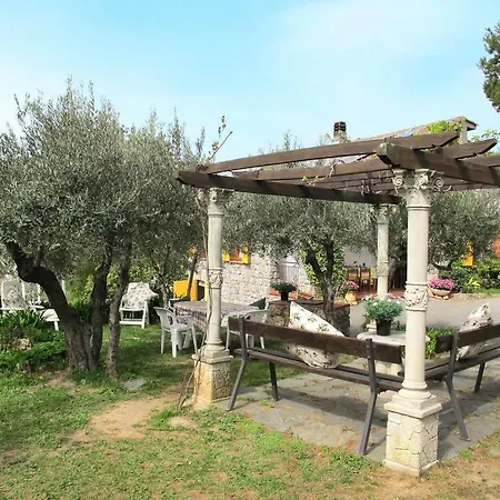 Fior Di Lavanda
