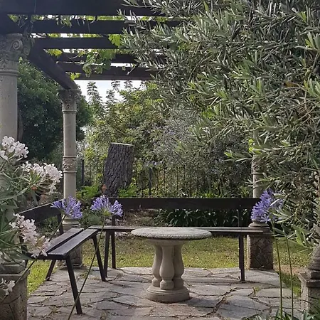 Fior Di Lavanda * Cisano sul Neva