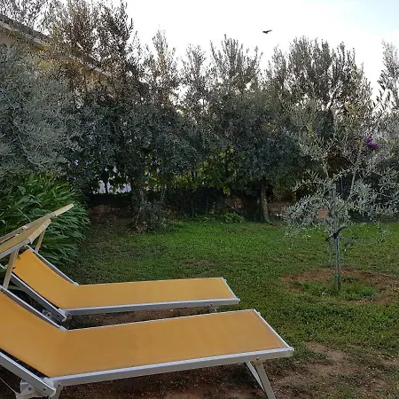 Fior Di Lavanda *