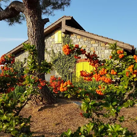 Fior Di Lavanda Holiday home Cisano sul Neva