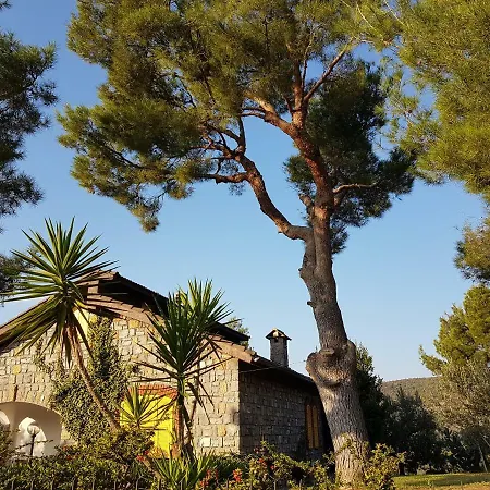 Casa Lavanda Casa vacanze *